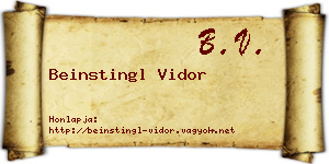 Beinstingl Vidor névjegykártya